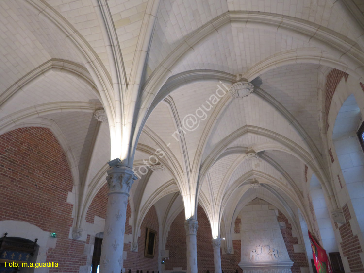 AMBOISE (115) Castillo Real