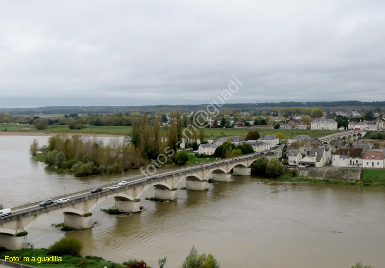 AMBOISE (125) Castillo Real