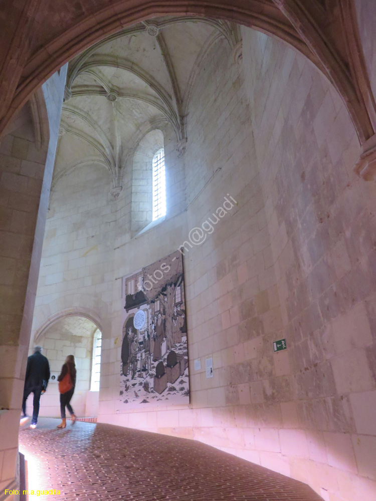 AMBOISE (130) Castillo Real