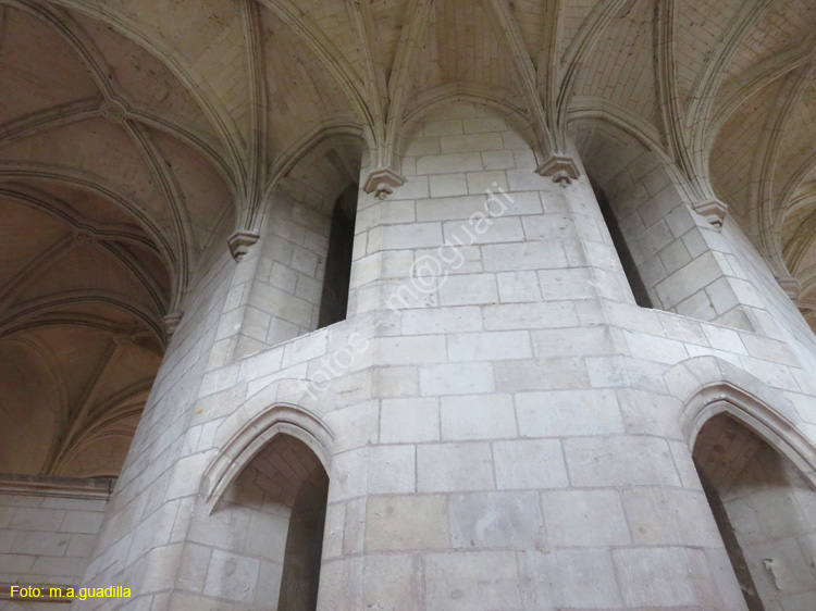 AMBOISE (132) Castillo Real