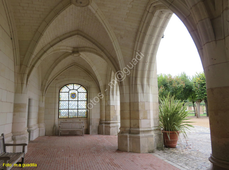 AMBOISE (133) Castillo Real