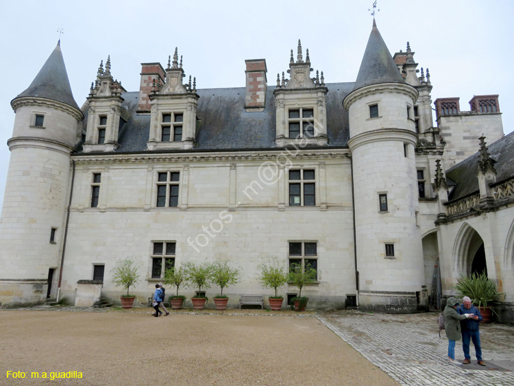 AMBOISE (134) Castillo Real