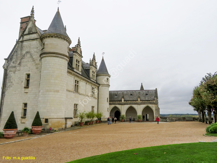 AMBOISE (138) Castillo Real