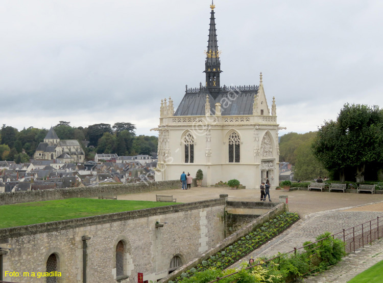 AMBOISE (139) Castillo Real