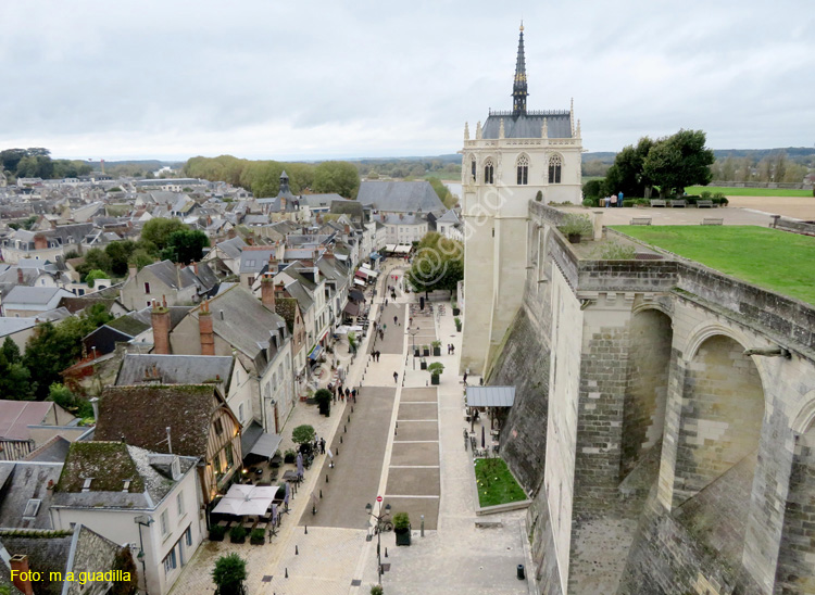 AMBOISE (141) Castillo Real