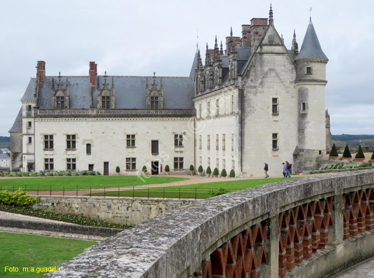 AMBOISE (142) Castillo Real