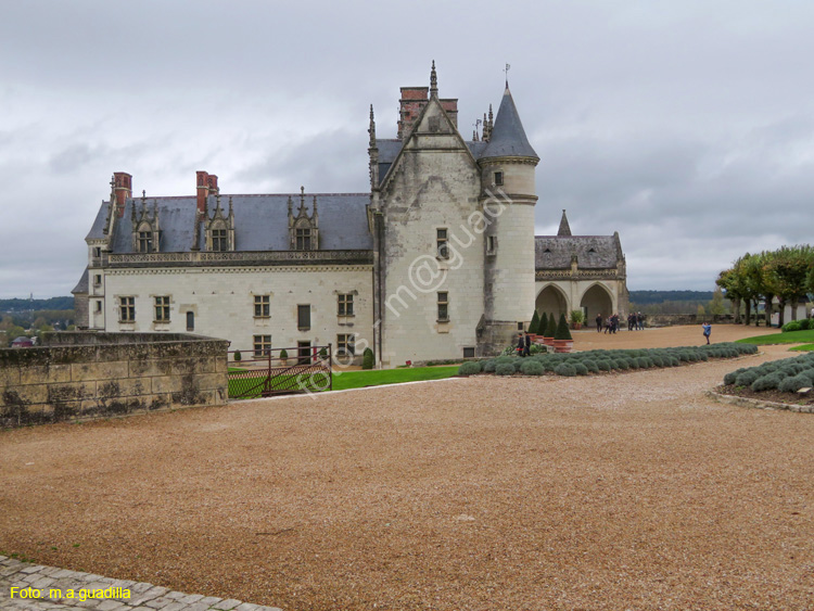 AMBOISE (143) Castillo Real