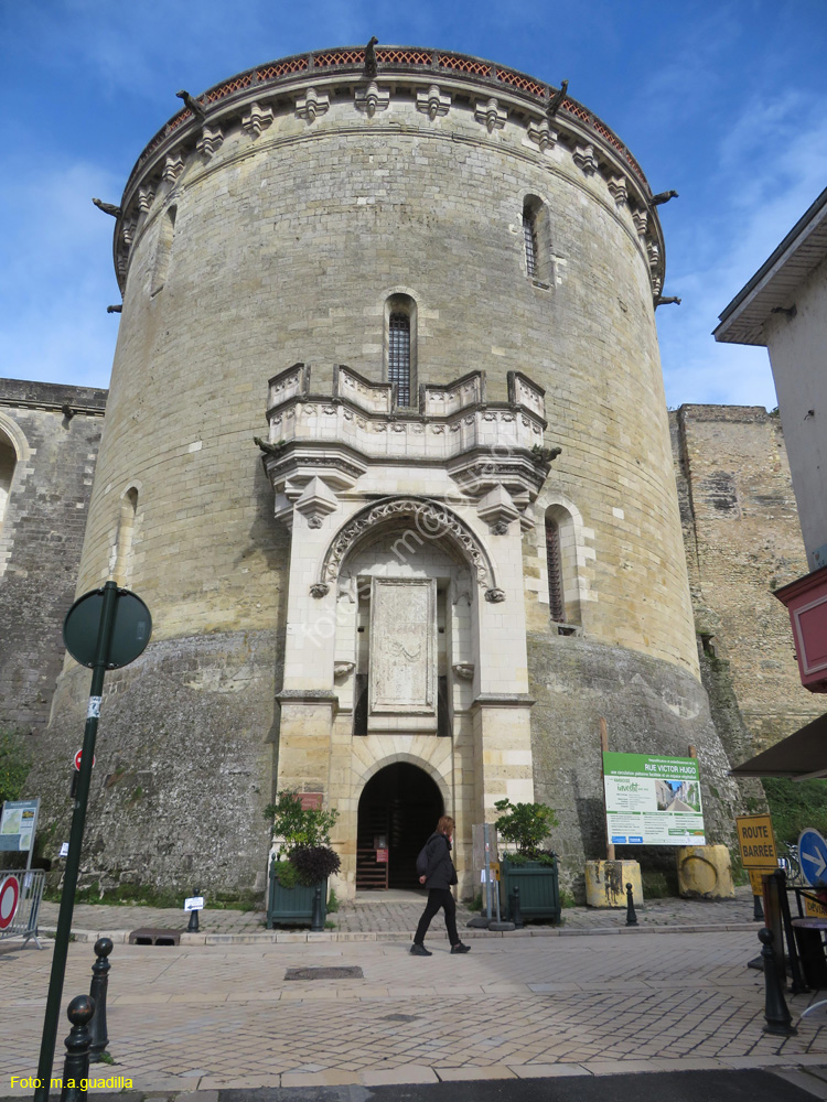 AMBOISE (147) Castillo Real