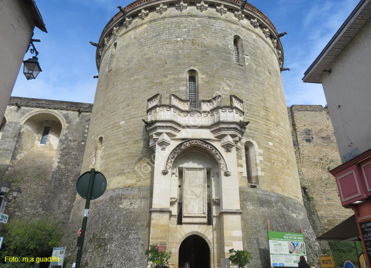 AMBOISE (148) Castillo Real