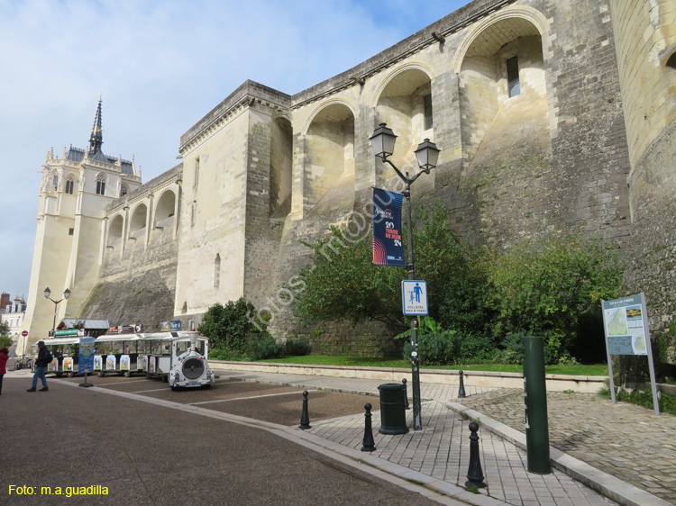 AMBOISE (149) Castillo Real