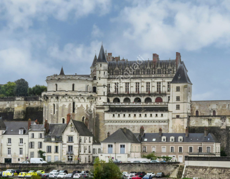 AMBOISE (150) Castillo Real