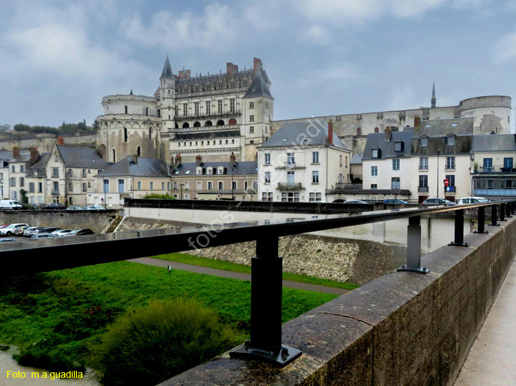 AMBOISE (151) Castillo Real