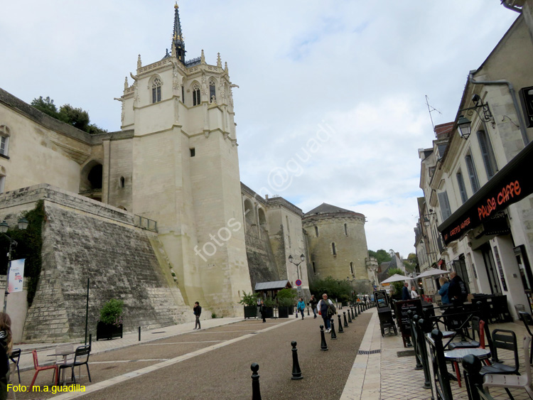 AMBOISE (152) Castillo Real