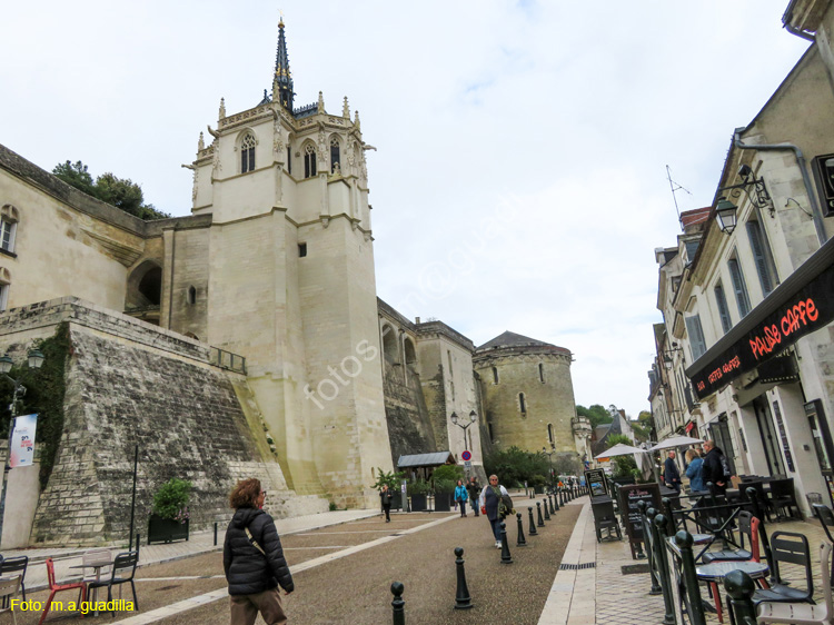 AMBOISE (153) Castillo Real