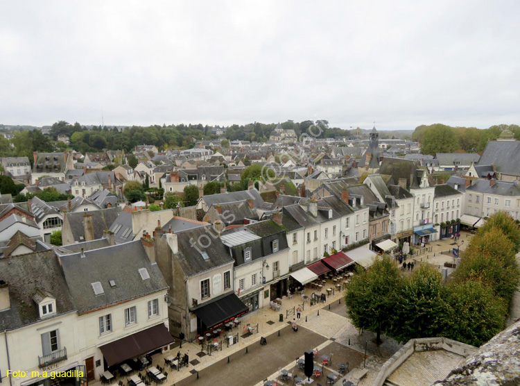 AMBOISE (167) Desde el Castillo Real