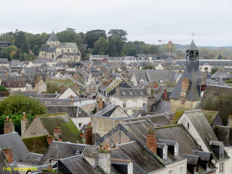 AMBOISE (168) Desde el Castillo Real