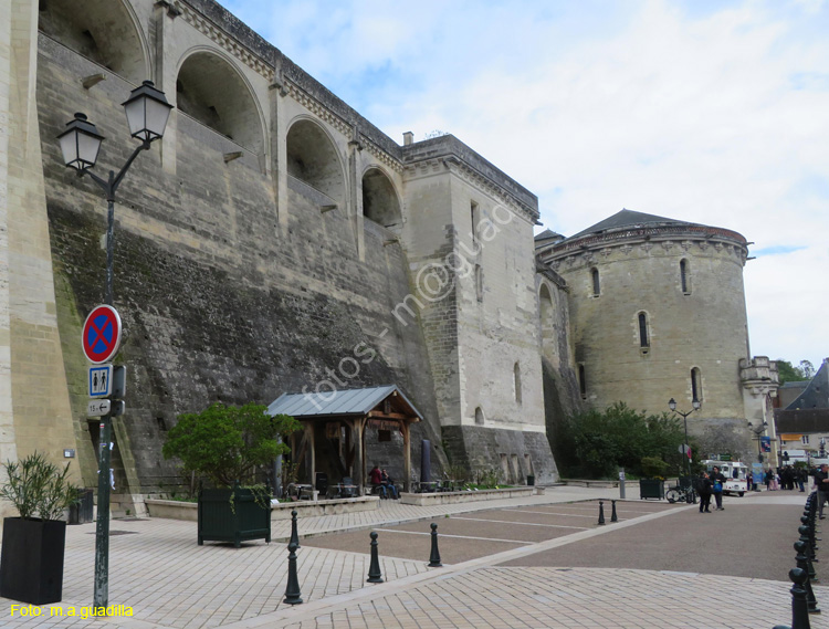 AMBOISE (170) Castillo Real