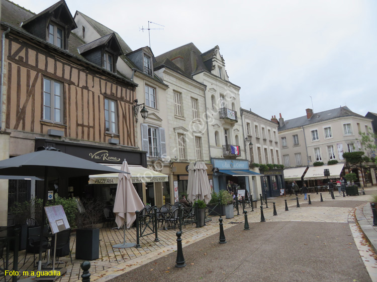 AMBOISE (174) Place Michel Debre