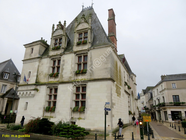 AMBOISE (201) Museo Morin