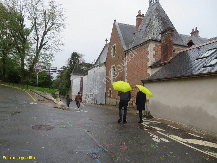 AMBOISE (229) Castillo Clos Luce