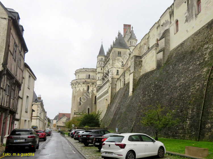 AMBOISE (234) Rue Victor Hugo