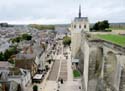 AMBOISE (141) Castillo Real