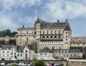 AMBOISE (150) Castillo Real