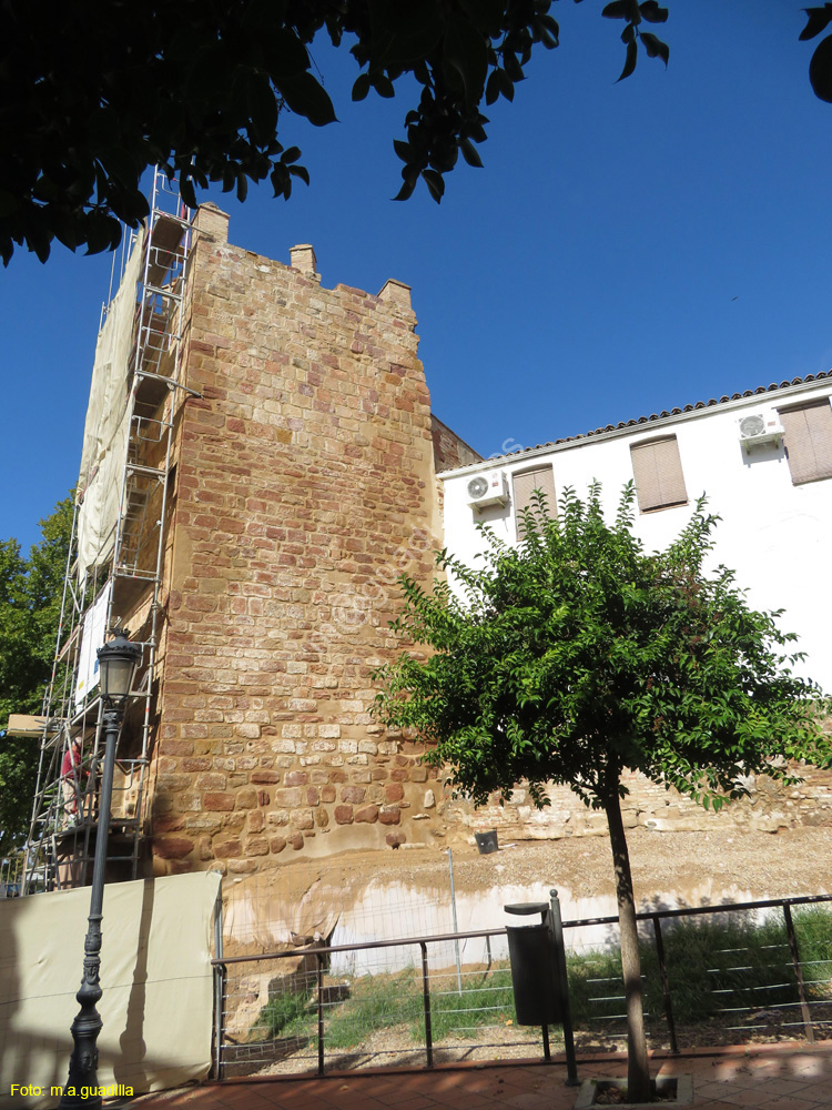 ANDUJAR (172) Torreon de la Fuente Sorda