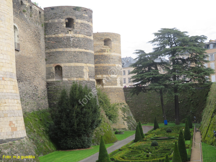 ANGERS (105) Castillo