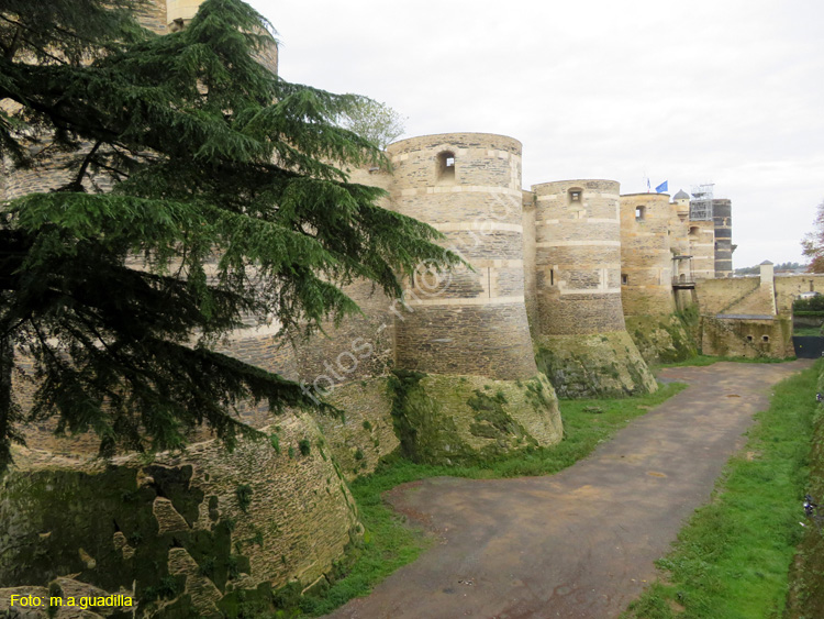 ANGERS (109) Castillo