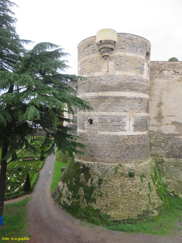 ANGERS (110) Castillo