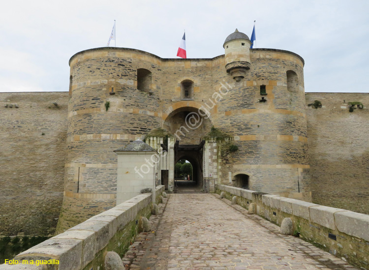 ANGERS (114) Castillo