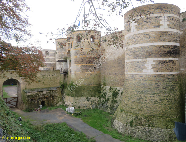 ANGERS (117) Castillo