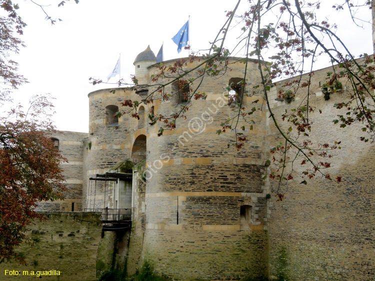 ANGERS (118) Castillo