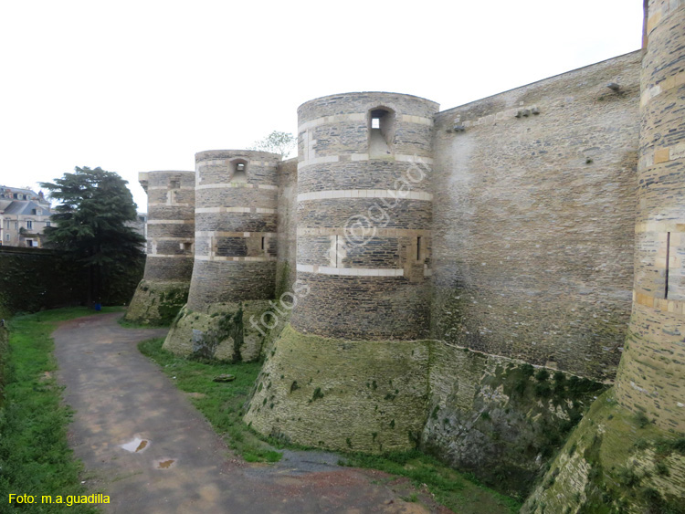 ANGERS (119) Castillo