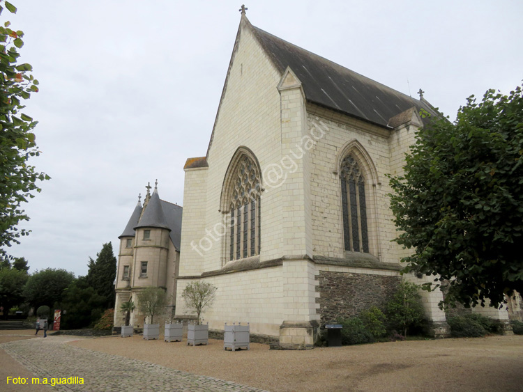 ANGERS (121) Castillo