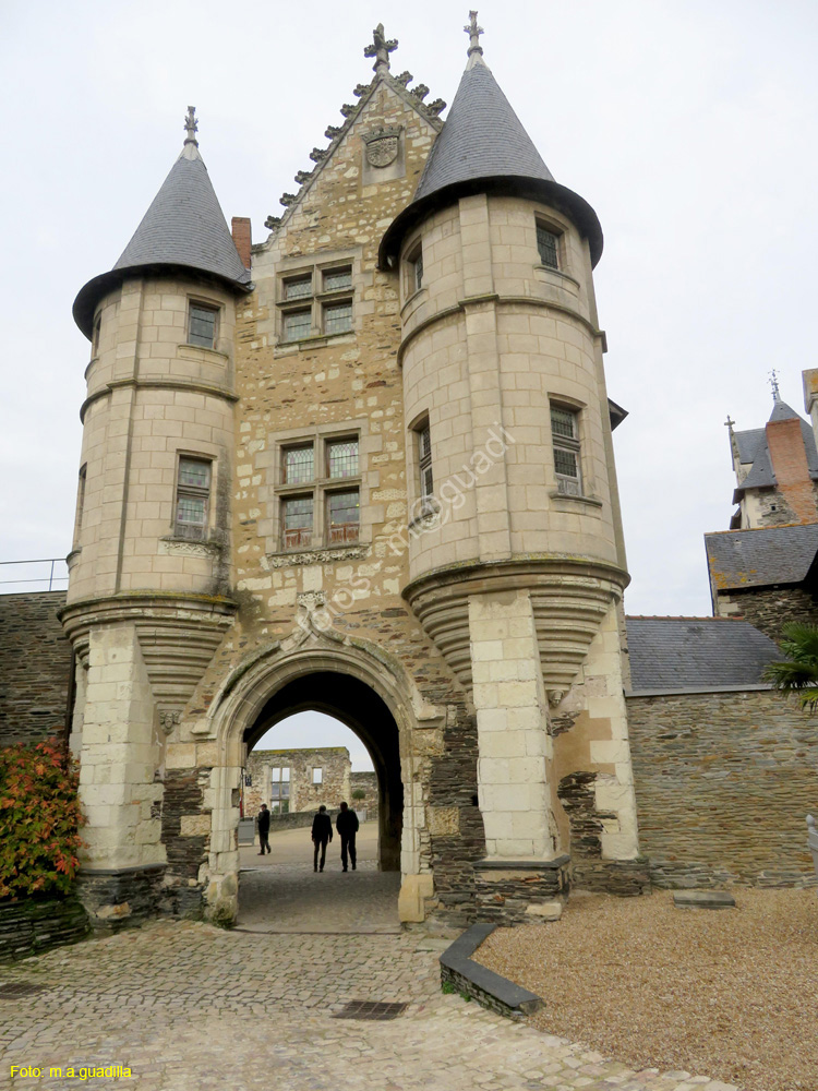 ANGERS (130) Castillo