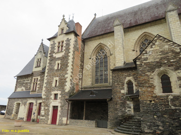 ANGERS (132) Castillo