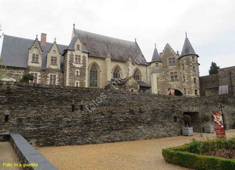 ANGERS (139) Castillo