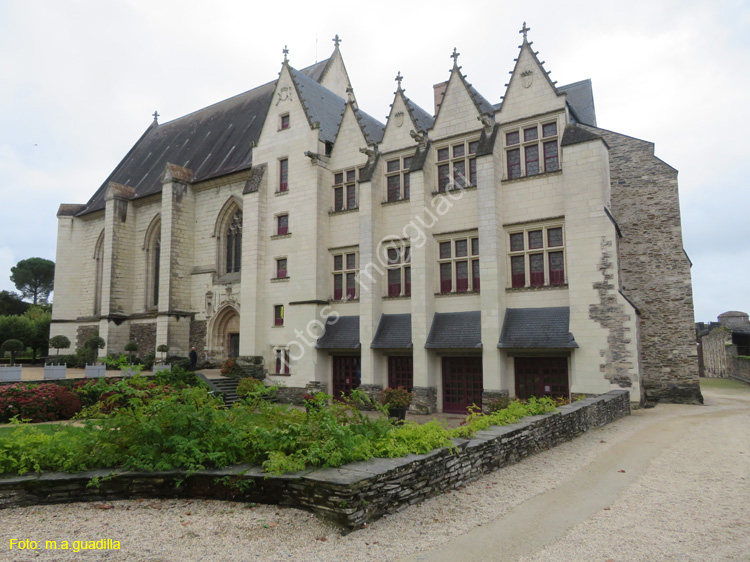 ANGERS (174) Castillo