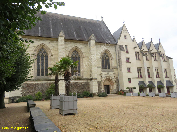 ANGERS (175) Castillo