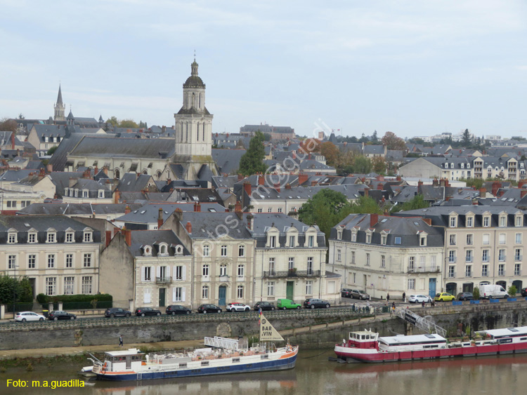 ANGERS (181) Rio Maine