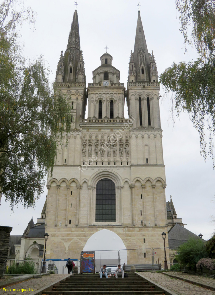 ANGERS (199) Catedral de San Mauricio