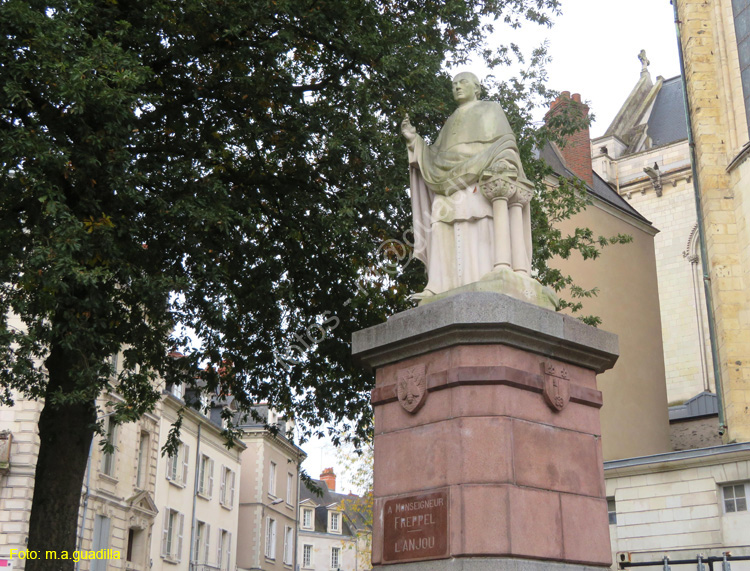 ANGERS (233) Place Sainte-Croix