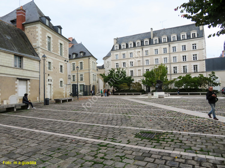 ANGERS (241) Place Saint Eloi