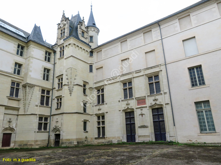 ANGERS (244) Museo Bellas Artes