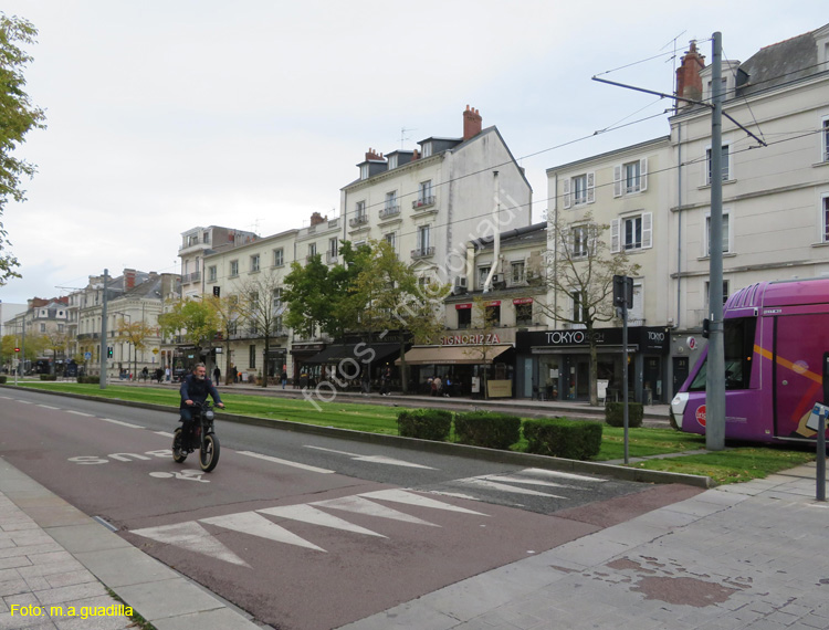 ANGERS (254) Boulevard du Mariscal Foch