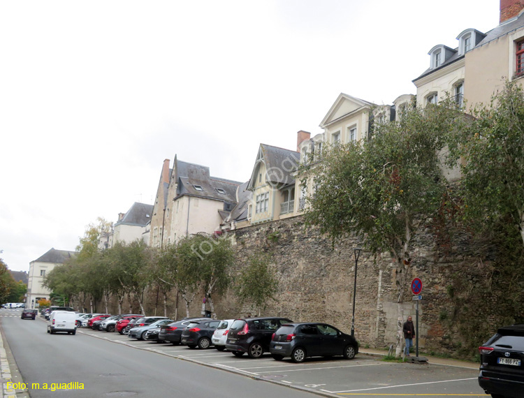 ANGERS (288) Rue Toussaint