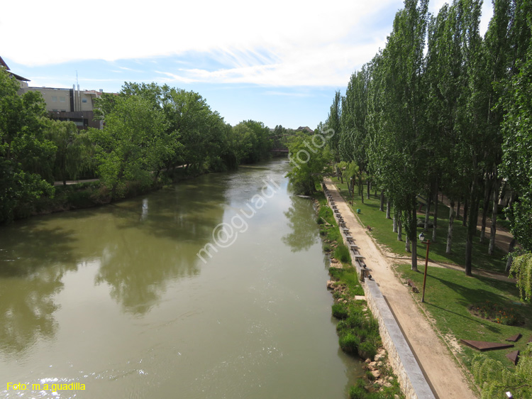 ARANDA DE DUERO (139) Rio Duero