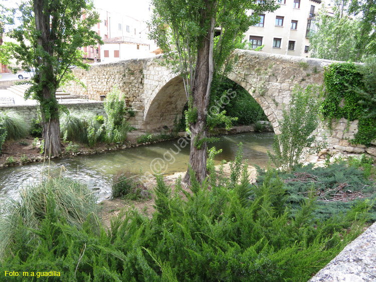 ARANDA DE DUERO (145) Puente Medieval